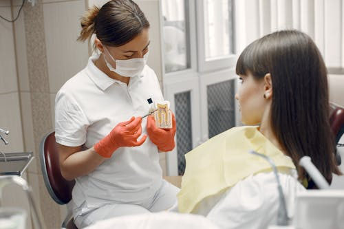 Dentist explaining root canal treatment to patient with dental model